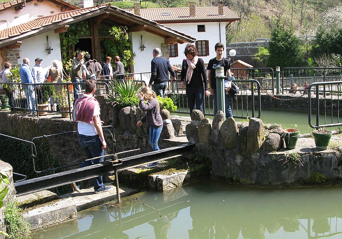 Participantes de una edición anterior visitan las instalaciones del molino de Olabarri.
