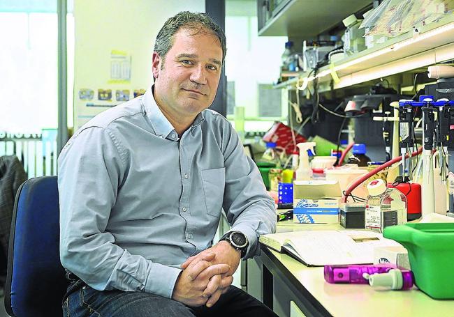 El director del grupo de Neurobiología de Biogipuzkoa, David Otaegui, en el laboratorios donde trabaja, en San Sebastián.