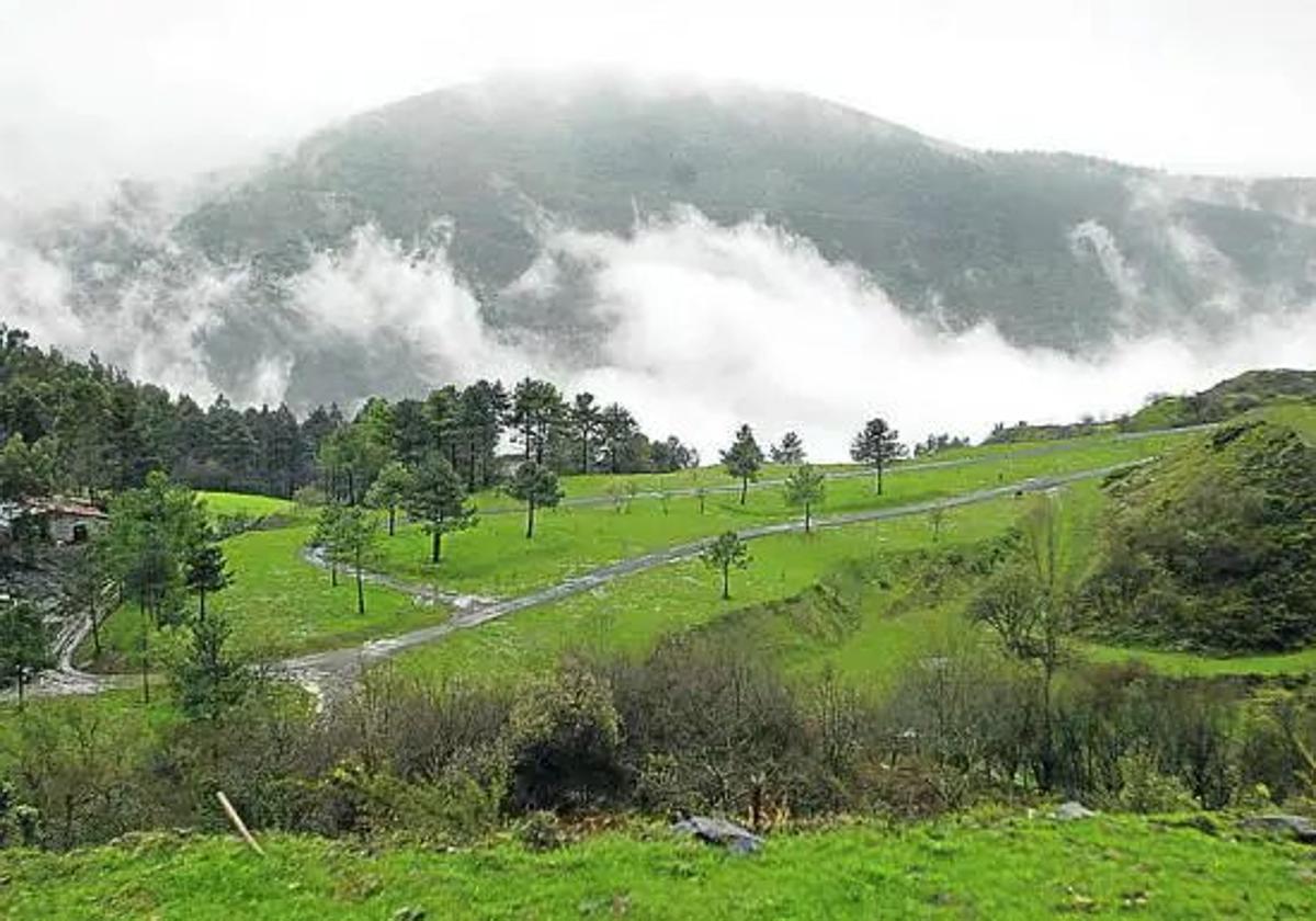 Muere el trabajador de 22 años que sufrió un fuerte golpe realizando trabajos forestales en Arcentales