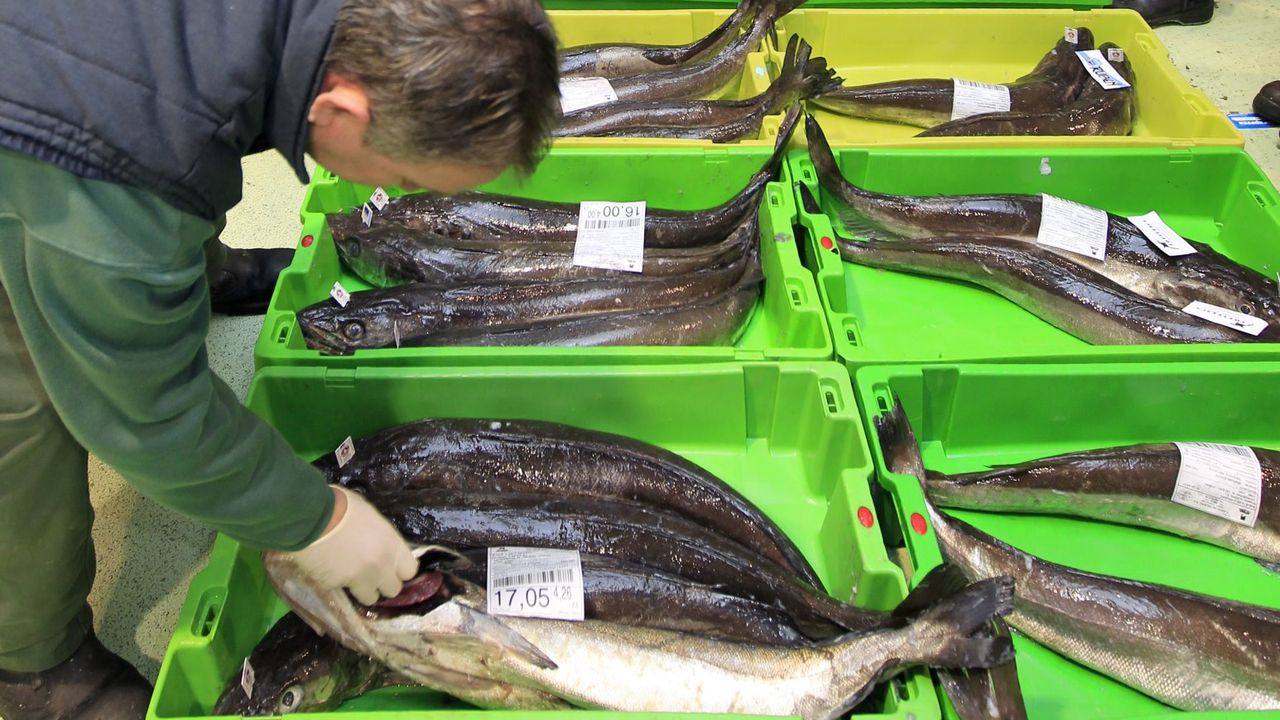 Un comprador inspecciona una caja de merluza antes de hacerse con ella.