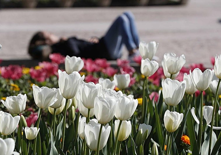 Primavera loca... ¿hasta cuándo?