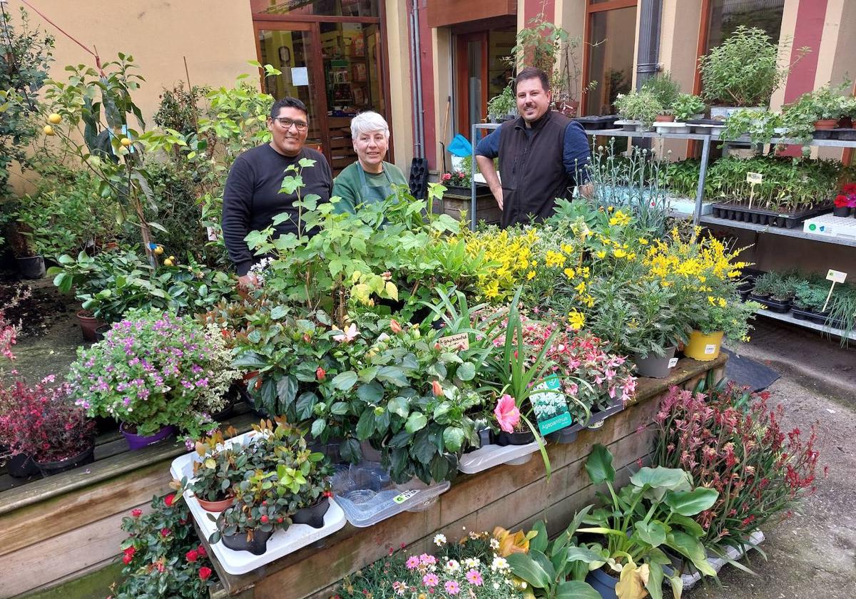 Yoel, Marijo Gorrotxategi y Beñat Granados posan en la tienda rodeados de flores y plantas.