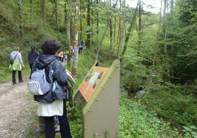 Excursionistas por la Vía Verde del Goierri.