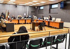 Mireia C. S., la mujer que secuestró a Aimar en el hospital de Basurto.