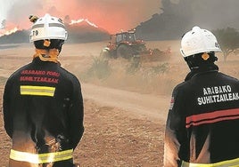 Bomberos forales durante un incendio forestal.