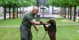 Dimitri juega en Ibarra con 'Lur', al que supo leer el mensaje de socorro que el animal le lanzó en el Txindoki.