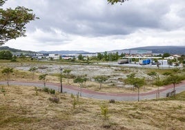 Zona del polígono próxima al pueblo de Margarita donde se unen las parcelas.