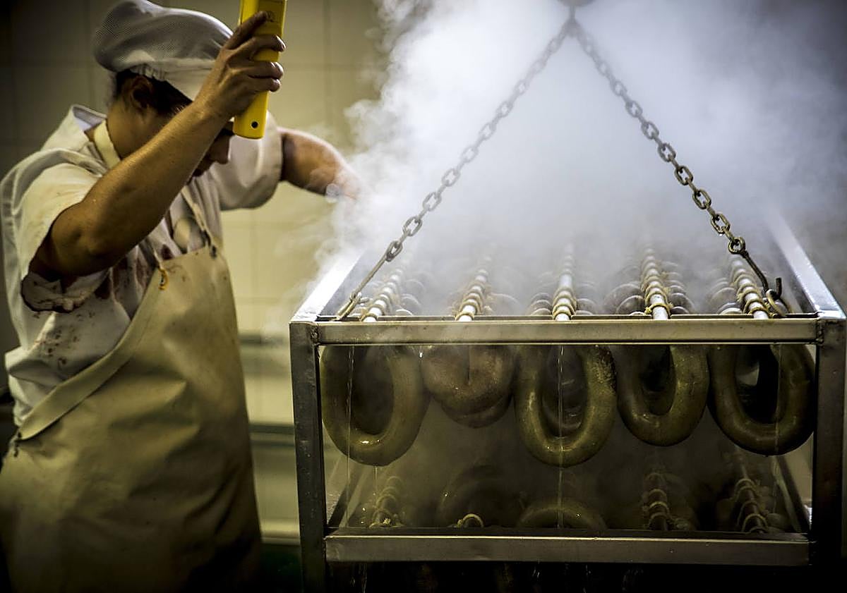 Imagen principal - Tres imágenes del reportaje publicado en 2017 en EL CORREO.