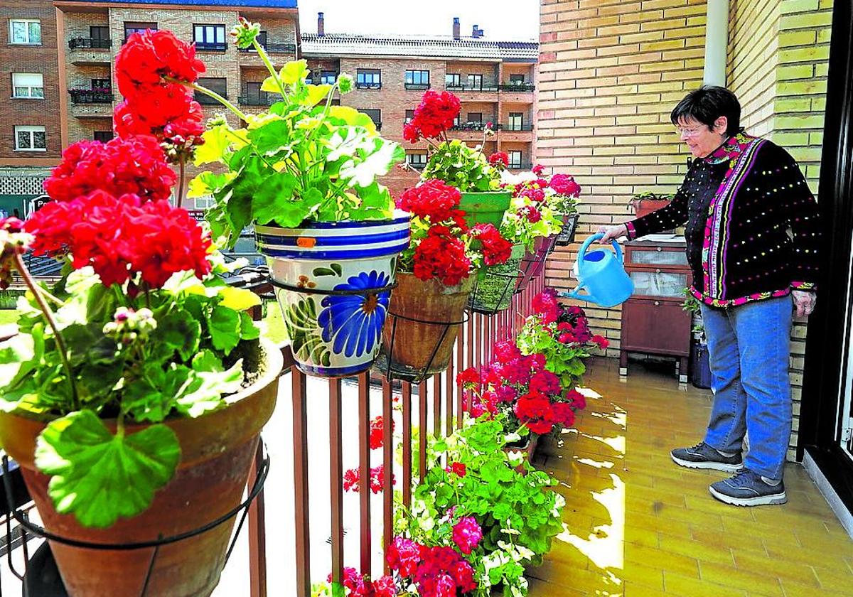 Una mujer cuida sus bonitos geranios en una terraza de Vitoria.