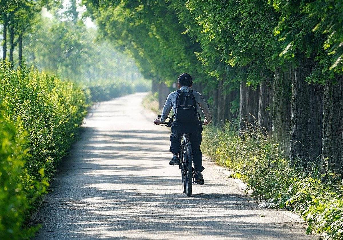 Este es el ejercicio que debes practicar a partir de los 50 años, según la ciencia