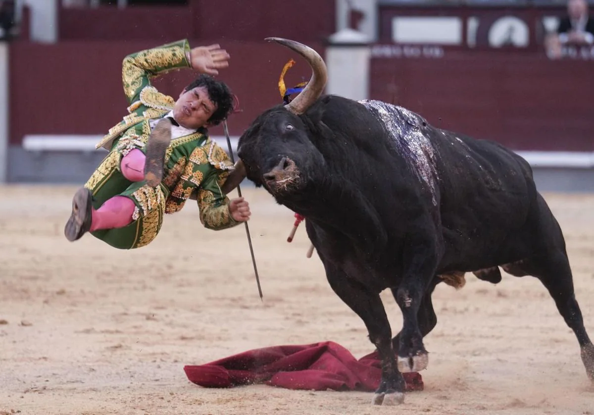 La espeluznante cogida al torero mexicano Isaac Fonseca en Las Ventas | El  Correo