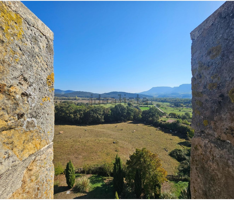 Las fotos del lujoso castillo que se vende en el Valle de Mena