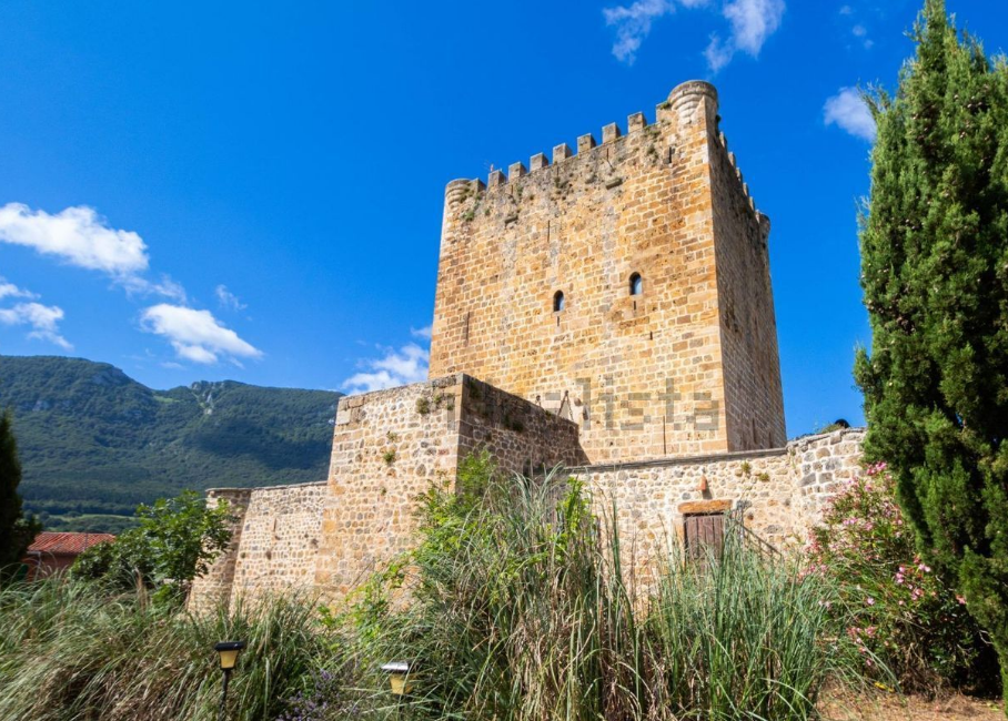 Las fotos del lujoso castillo que se vende en el Valle de Mena