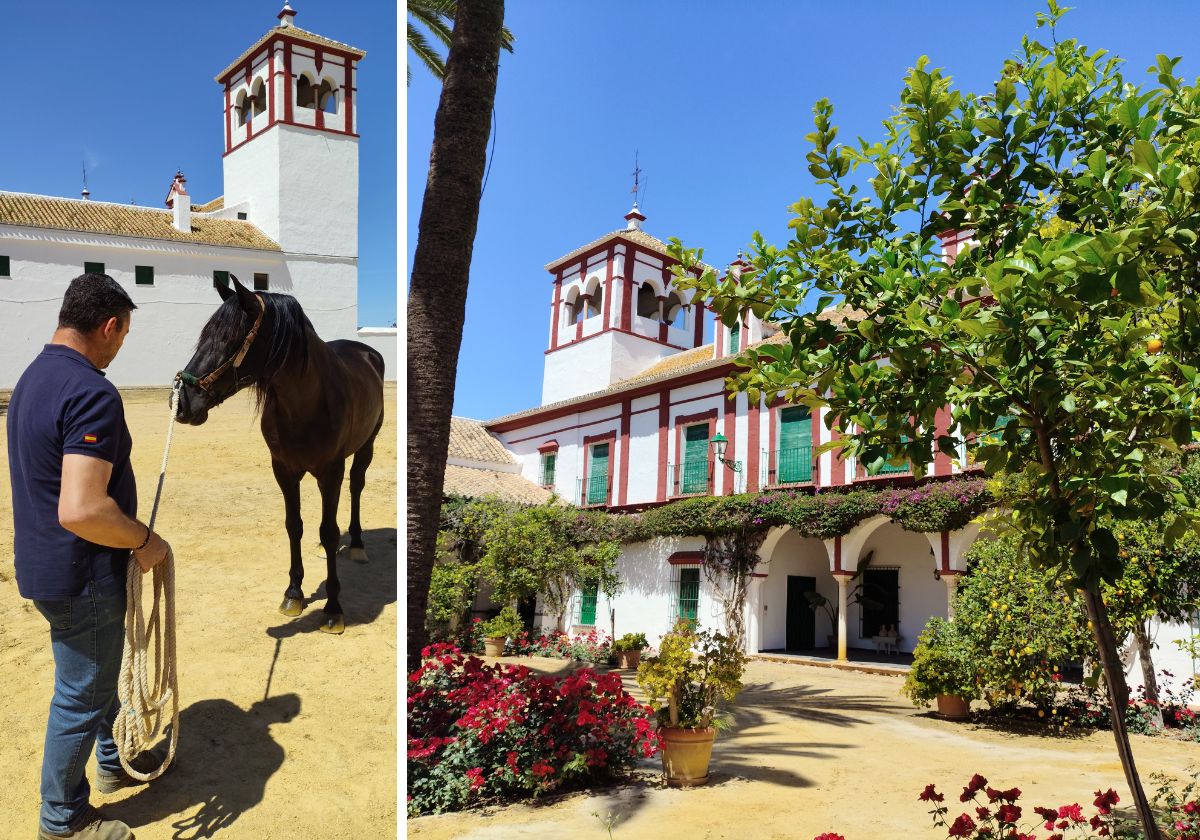 Hacienda Guzmán de La Rinconada.