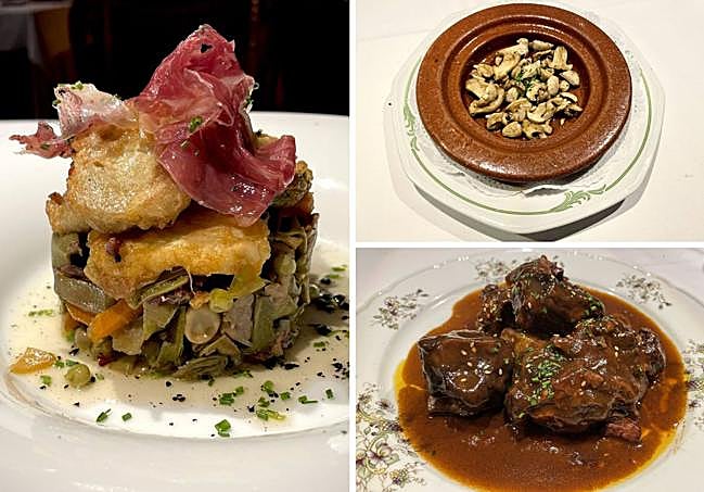 Menestra de verduras, perretxikos y rabo guisado al vino tinto.