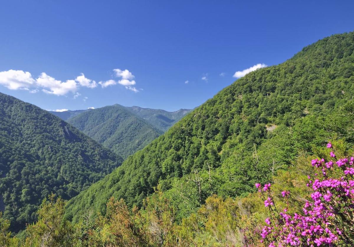 Ecología para salvar la Tierra