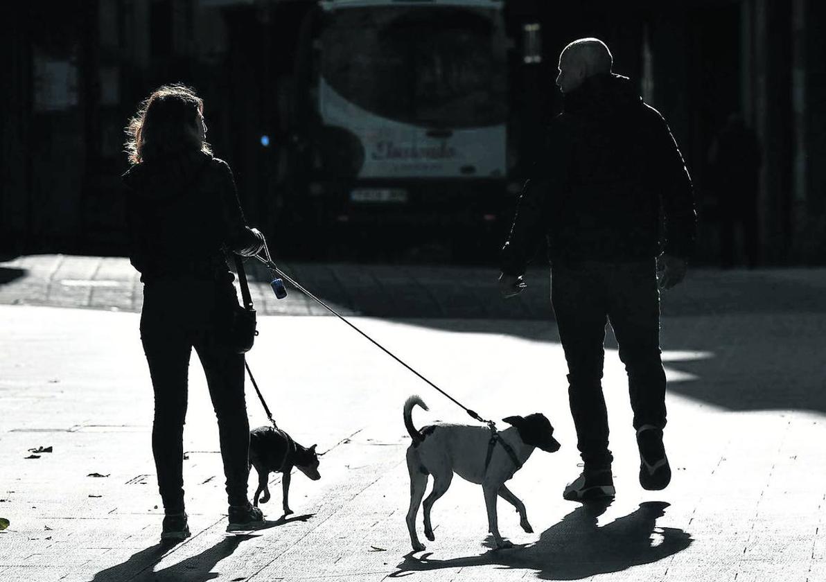 Dos personas paseando con dos perros.