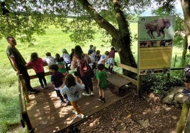 El refugio de animales de Kortezubi recibe a miles de escolares y familias en sus 60.000 metros cuadrados de terreno.