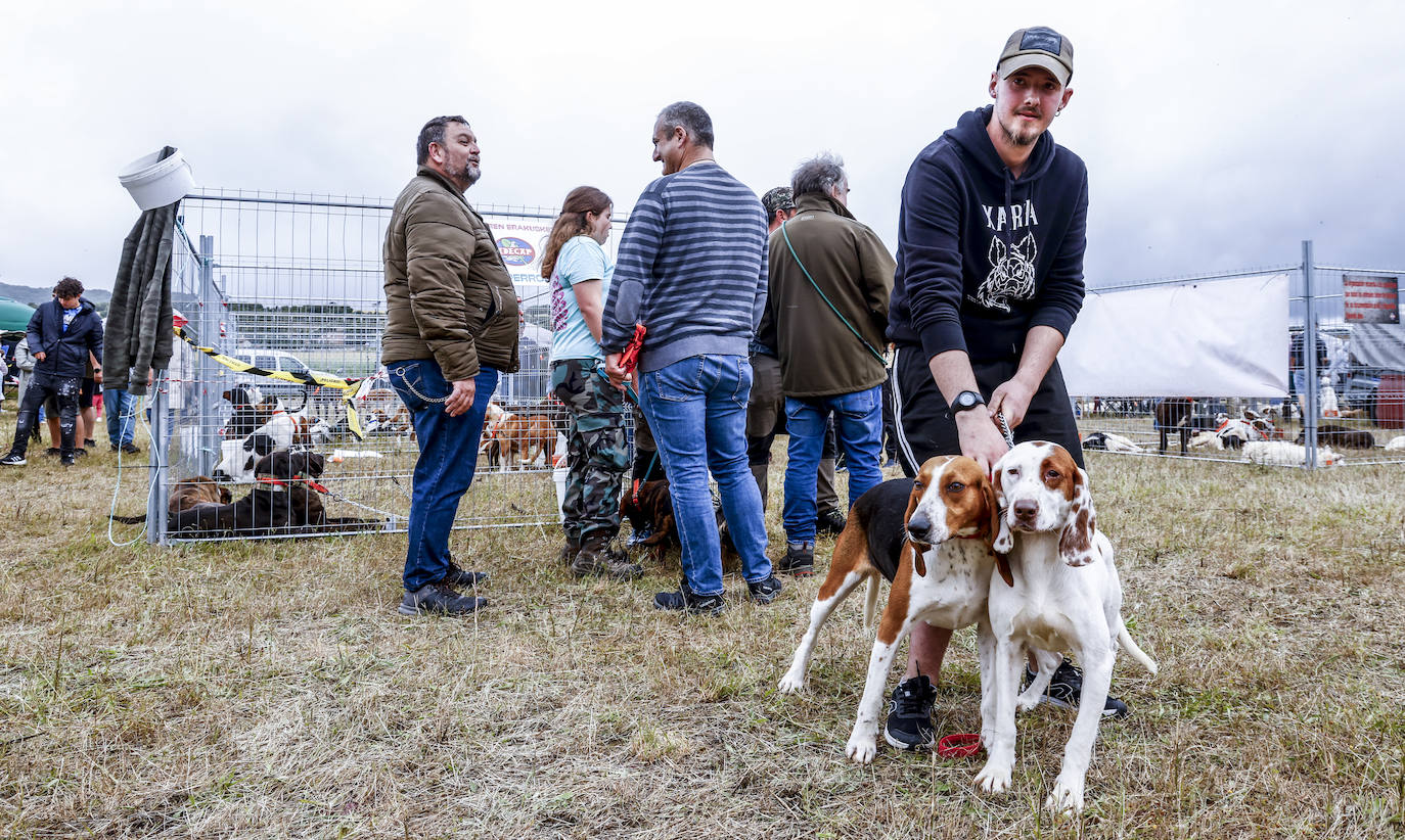 Fiesta de los cazadores vascos en Foronda