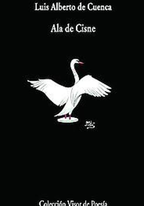 Imagen - 'Ala de cisne'