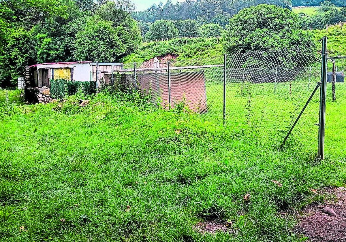 Imagen de parte del recinto en el que los sospechosos almacenaban a los cachorros en pequeñas naves y construcciones.