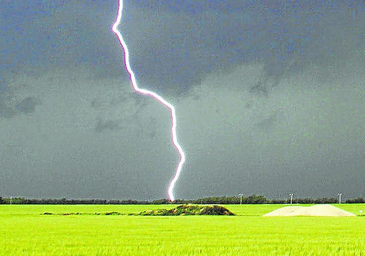 Los cultivos de cereal han sido los más perjudicados