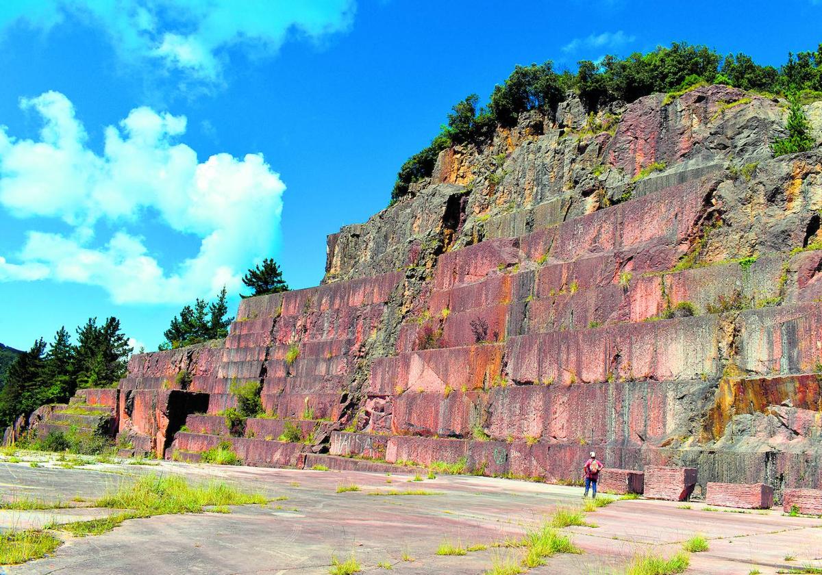 Calizas arrecifales. La gigantesca pared de piedra se levanta en pleno corazón de la Reserva de Urdaibai.