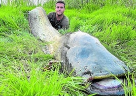 Un monstruo de 2,37 metros en el Ebro a su paso por un pueblo de La Rioja