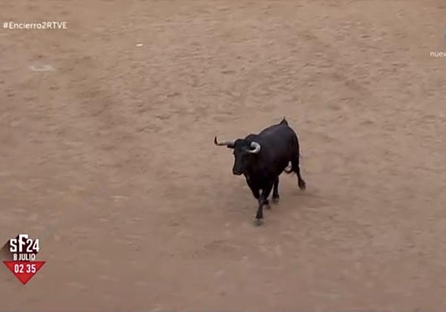 El toro, con el pitón izquierdo descolgado, entra a los corrales de la plaza.
