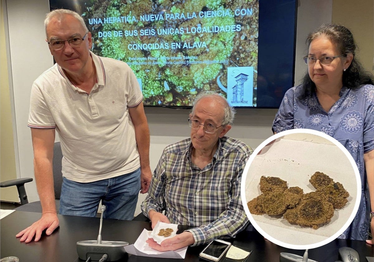 Presentación de la nueva especie 'Sphaerocarpos ibericus'.