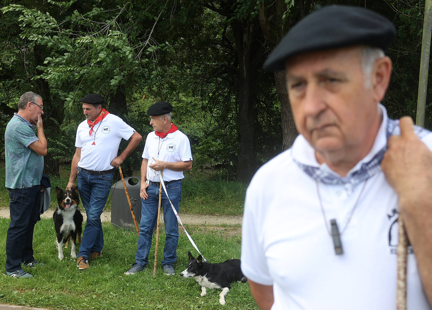 Las mejores imágenes del campeonato de perros pastor de Euskal Herria