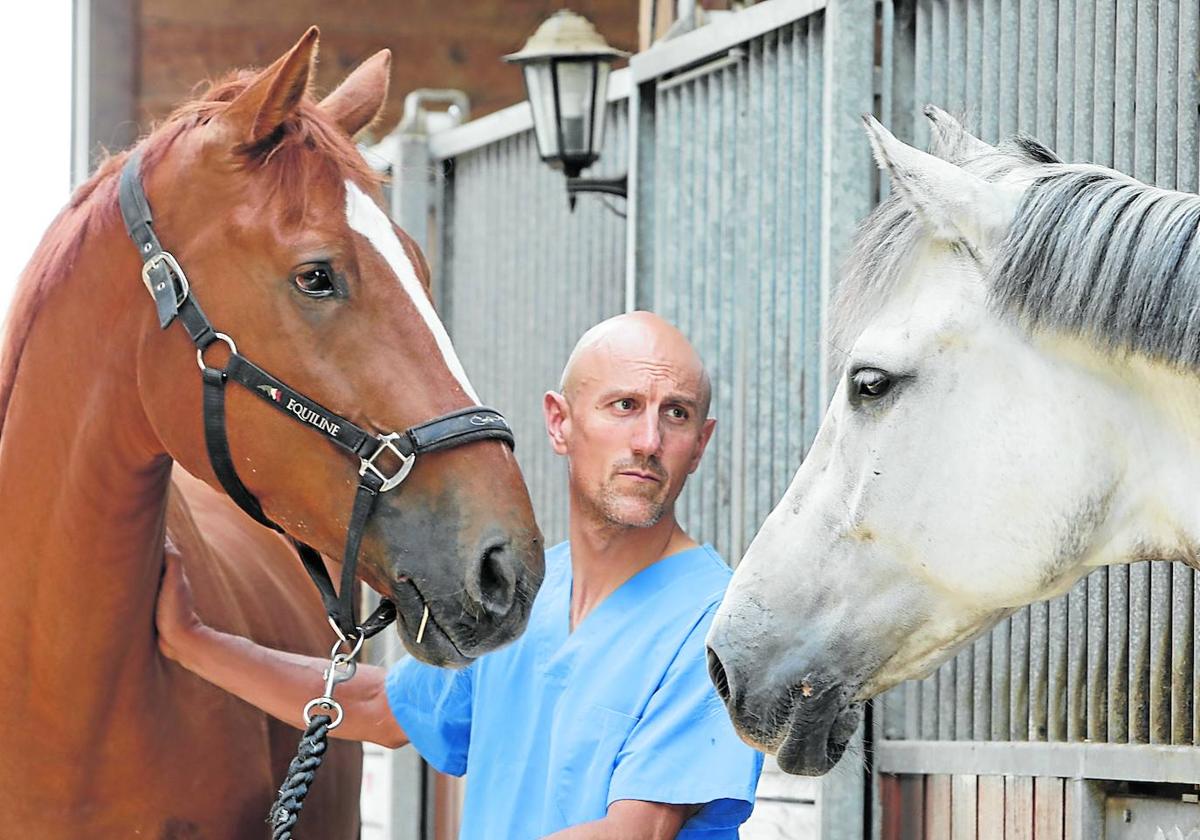 Vocación. Esteban, que ha sido el primer veterinario en recibir la Cruz del Mérito Civil, sujeta a 'Royal' en el club hípico de Barrika.