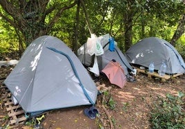 Tiendas desplegadas en el campamento ilegal levantado en una zona arbolada de Berango