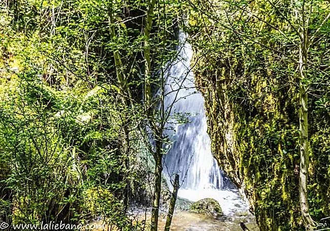 Una de las cascadas de Retumbia