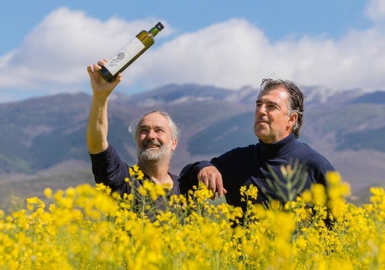 Fernando Santamaría y Ramón López de Arkaute en un campo de colza ecológica en floración en Luzuriaga (Álava). Su embotelladora de aceite de colza es la única de España.