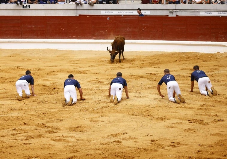 Los cinco recortadores que han mostrado su destreza en el ruedo.