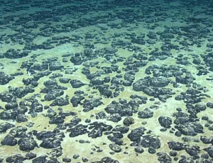 Imagen de los nódulos metálicos del fondo del mar que han permitido descubrir el oxígeno negro.