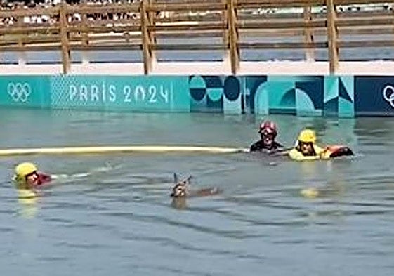 Los bomberos durante el rescate del corzo en los Juegos Olímpicos de París