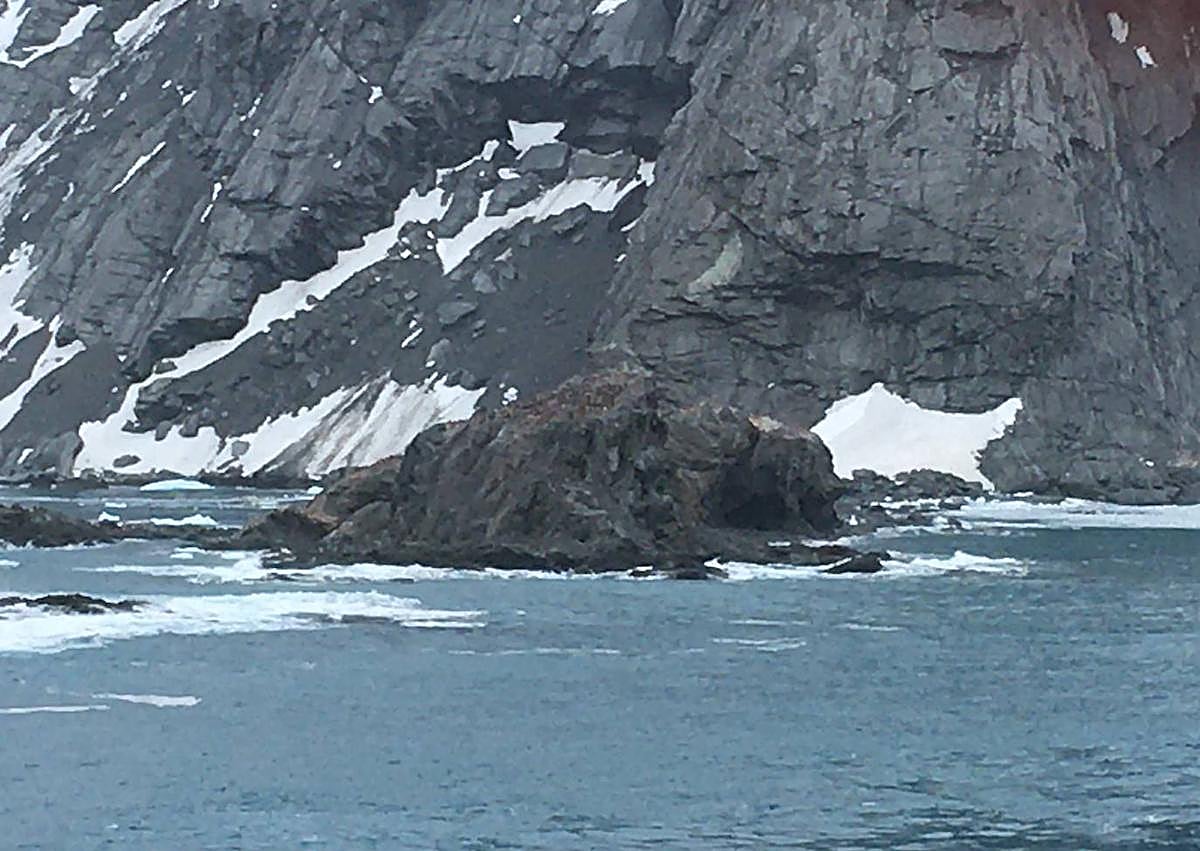 Imagen secundaria 1 - Último destino antártico