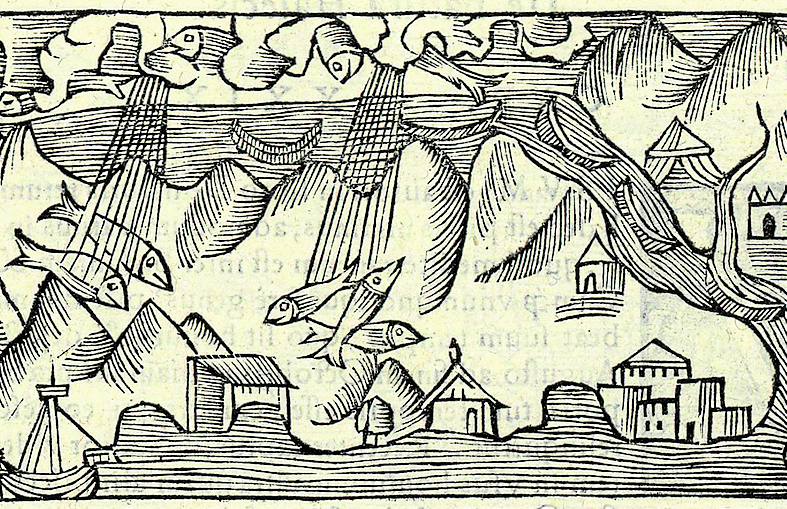 Grabado de una lluvia de peces del cartógrafo Olaus Magnus (1555).