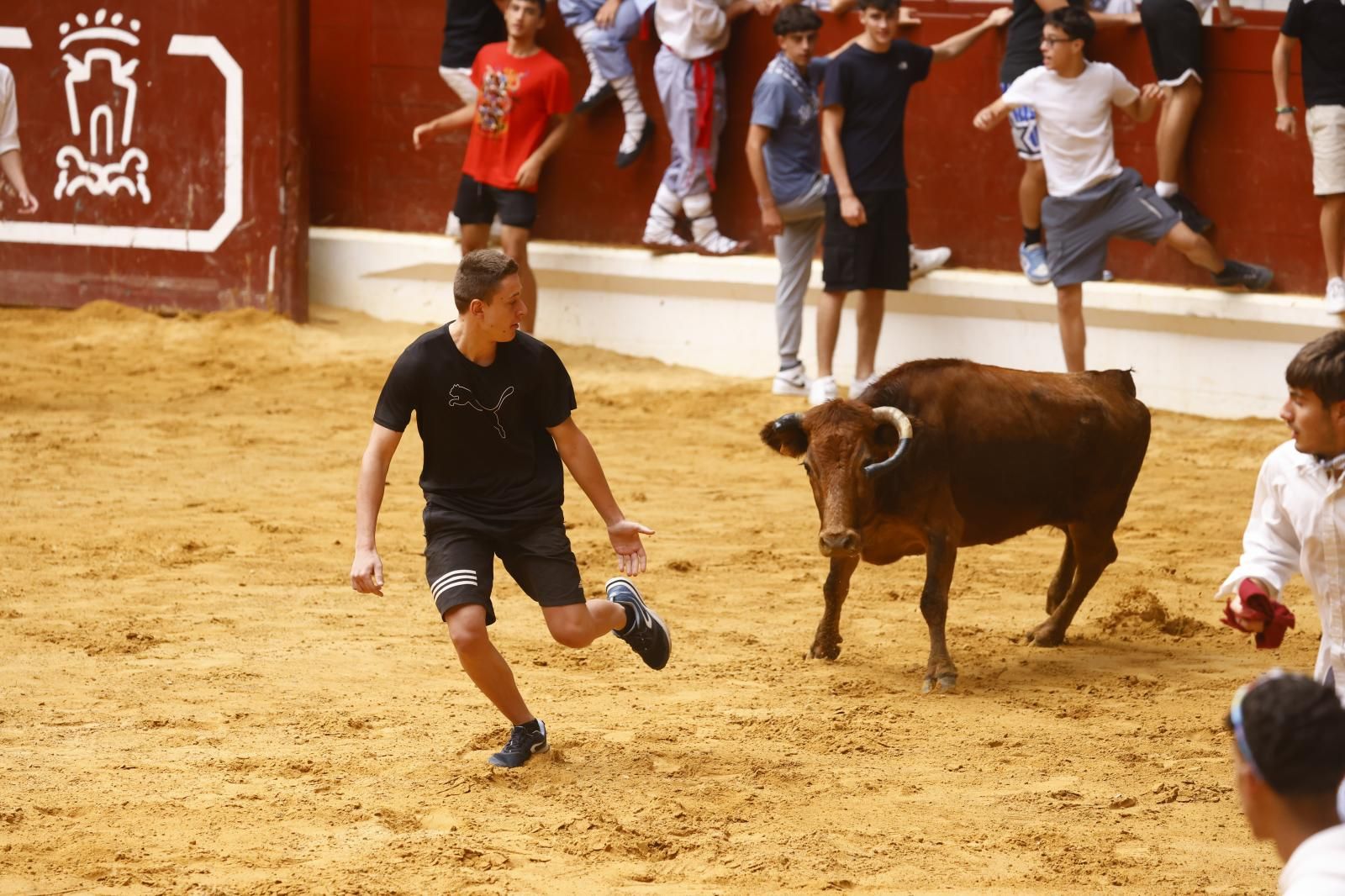 Las vaquillas en imágenes