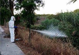 Un operario fumiga en La Puebla del Río, una de las localidades sevillanas más afectadas.