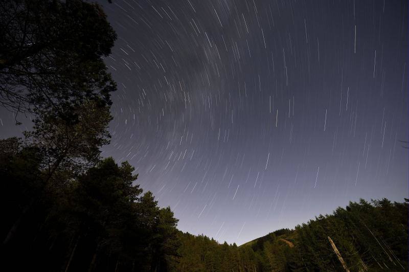 Las Perseidas alcanzarán su punto álgido entre el 9 y el 12 de agosto
