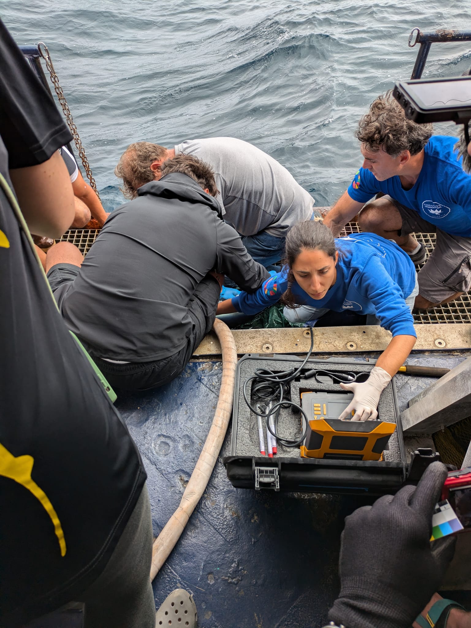Finaliza la expedición que buscaba el tiburón blanco en el Golfo de Bizkaia