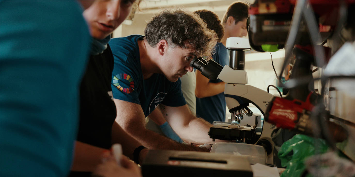 Finaliza la expedición que buscaba el tiburón blanco en el Golfo de Bizkaia