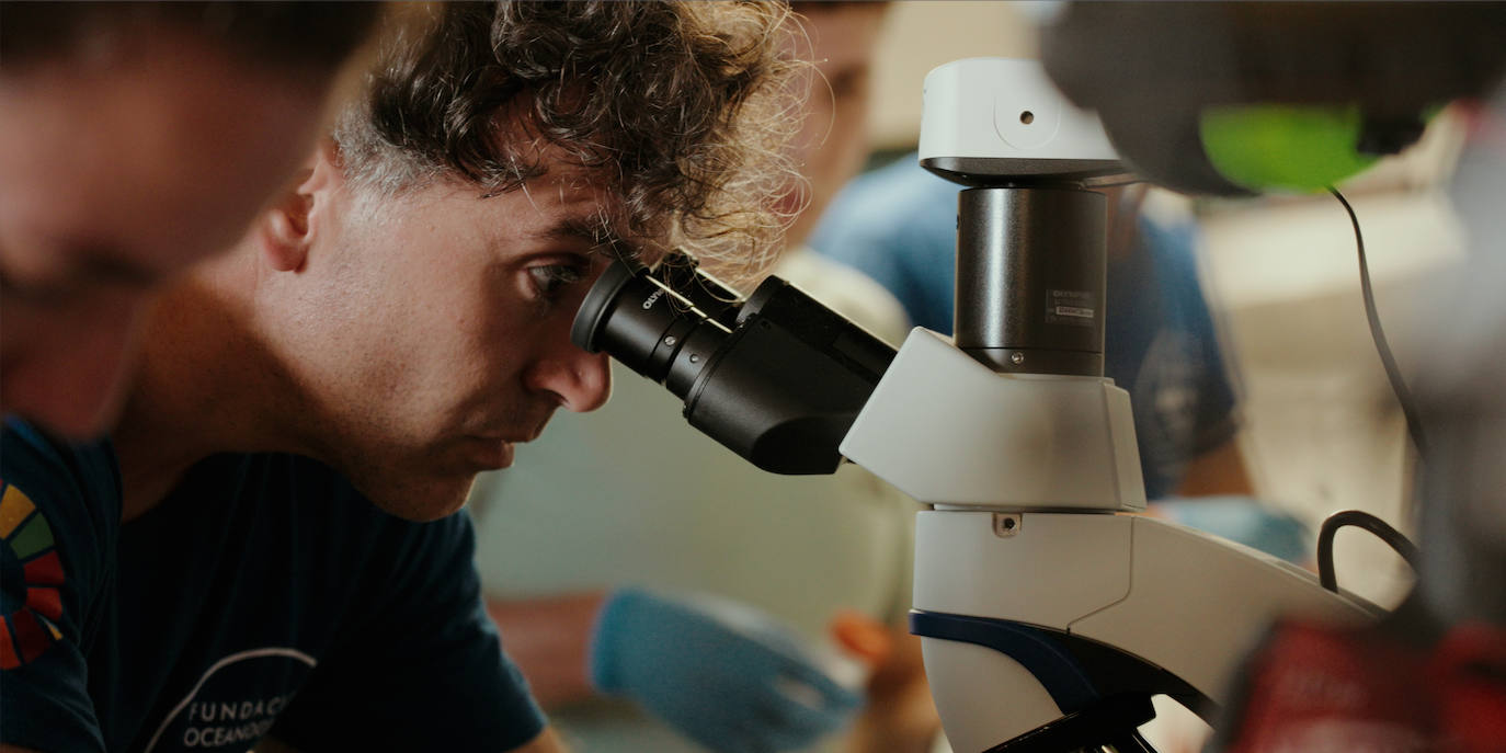 Finaliza la expedición que buscaba el tiburón blanco en el Golfo de Bizkaia