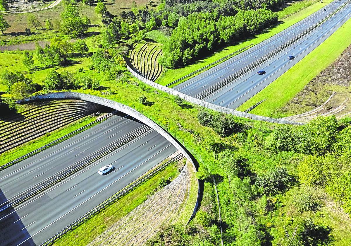 Ecoducto construido en los Países Bajos, similar a los que se plantea ejecutar la Diputación en la A-8 a su paso por Muskiz.