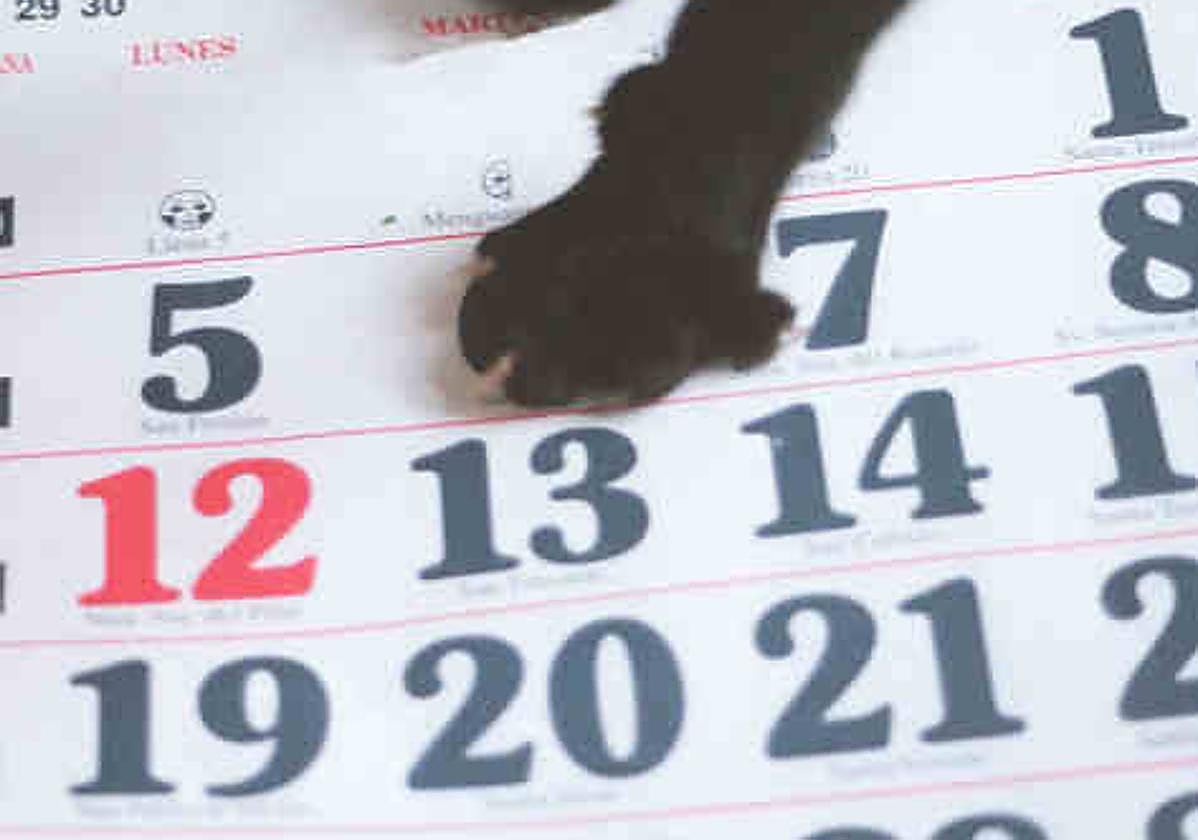 Patas de un gato negro sobre un calendario, señalando el fatídico número 13.