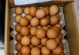 12 personas afectadas en Bizkaia por un brote de salmonelosis tras consumir una marca de huevos