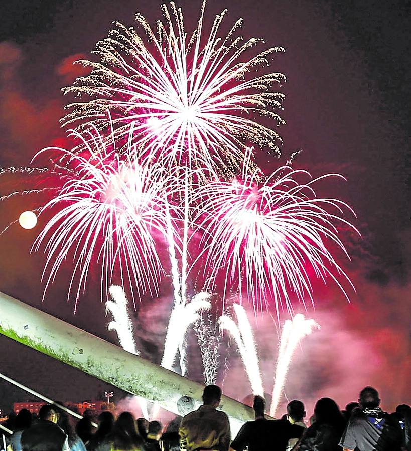 Imagen - Las palmeras y camuros son muy apreciados en Bilbao.